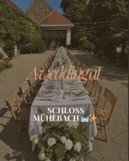 Schloss Mühlbach. Summer wedding.
Almost 1000 years of history.
One unforgettable wedding. 🌿
80 guests. Long tables.
White roses. Fairy lights.
Mediterranean dinner under
the open sky.
This is why we love what we do.🫒
👇 DM me or
taste@joshuascatering.at
www.schlossmuehlbach.at
#joshuascatering
#schlossmühlbach
#weddingcatering
#outdoorwedding
#viennawedding